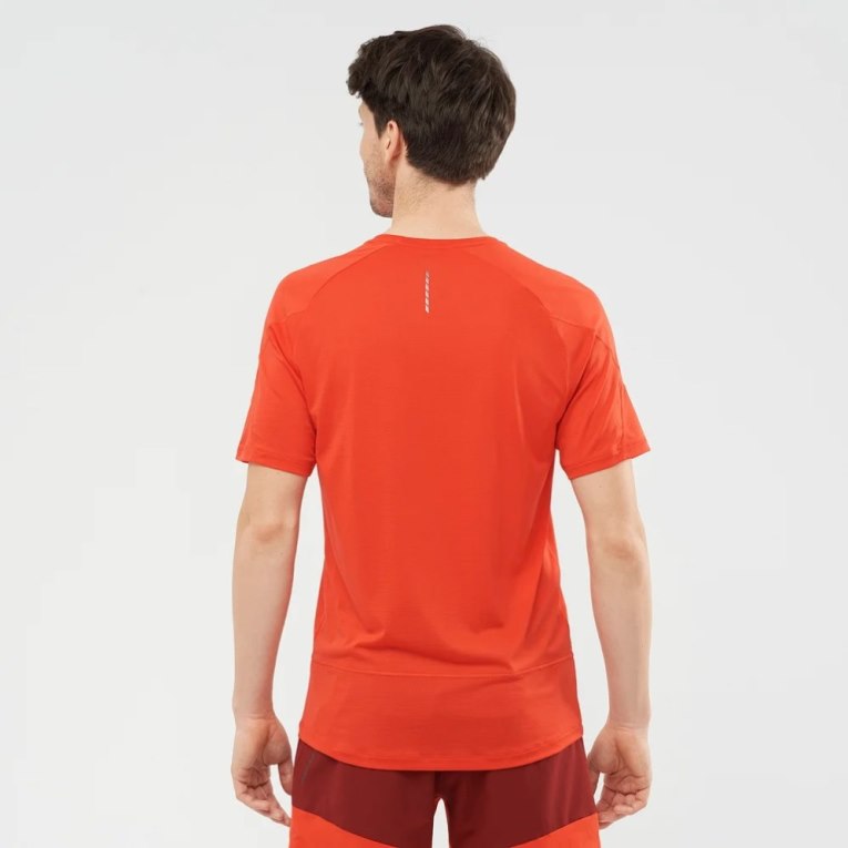 Camiseta Salomon Cross Run Curta Sleeve Masculino Laranja | PT R92714